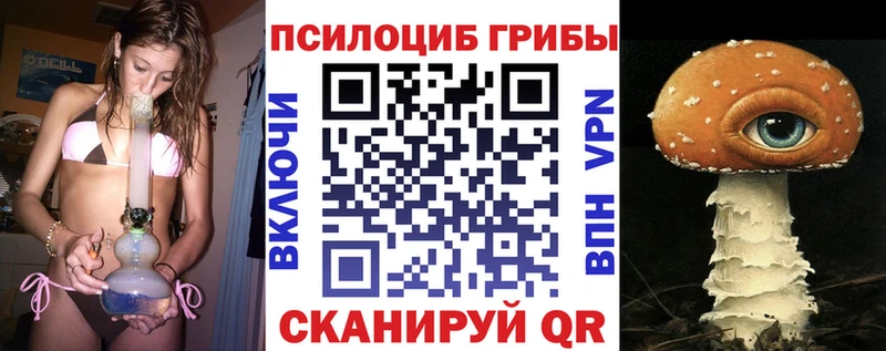 маркетплейс формула  Циолковский  Псилоцибиновые грибы ЛСД 